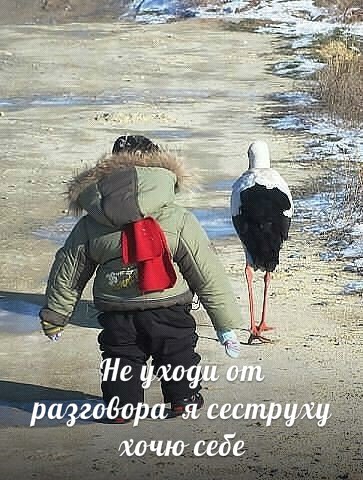 не уходи - Александр Гобозов